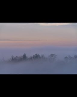 Dichter Nebel in Staad, nur die Baumwipfel tauchen aus dem Grau auf. Und nein, die schwarzen Punkte sind keine Sensorflecken. Unbedingt bis zum Ende schauen!

#nebel #nebelstimmung #dezember #staad #vogelzug #bridgeman_ch