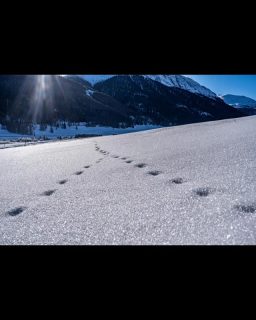 Irgendwo ist immer ein bisschen Winter.

#Engadin #sonne #Schnee #winterwonderland #wintertime #Winter #schweizerfotografen #bridgeman_ch #photography #landscapephotography #engadintourismus