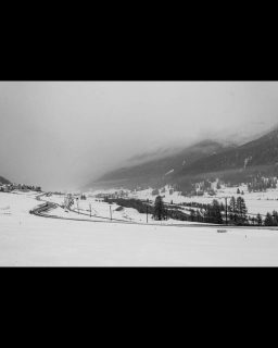 Draussen herrscht das, was man gemeinhin „schlechtes Wetter“ nennt. Nebel hängt tief in den Lärchen, der Vormittag brachte etwas Schnee, und am Nachmittag drückte das Thermometer auf +6 Grad – Regen statt Winteridylle. Eigentlich ein Tag zum Drinnen bleiben.
Aber genau dann wird es spannend. Wenn die Farben verschwinden und das Engadin nur noch aus Nuancen besteht. Die Kälte des Schnees gab den Bildern einen natürlichen Blaustich, doch erst in reinem Schwarz-Weiss entfaltet diese Tristesse ihre volle Kraft. Ohne die Ablenkung durch Farben bleibt nur noch die Struktur, der Kontrast und die reine Stimmung.
Wer sagt eigentlich, dass man für gute Fotos Sonnenschein braucht?

#Engadin #Graubünden #BlackAndWhitePhotography #Mood #WinterRain #MonochromeArt #SwissAlps #Nebelstimmung #Engadintourismus #bridgeman_ch