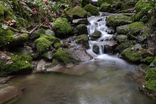 Natur