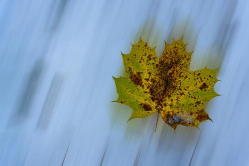 2024 11 23-016-A7C02467-397