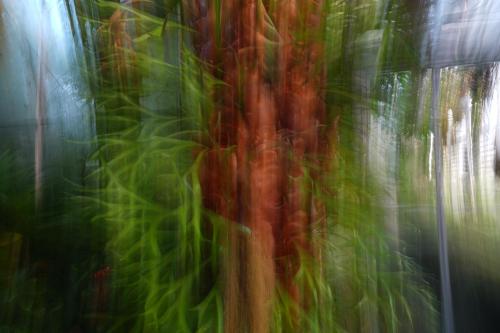 2024 01 27-A7V03325-n