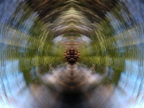 2024 01 27-A7V03354-BD