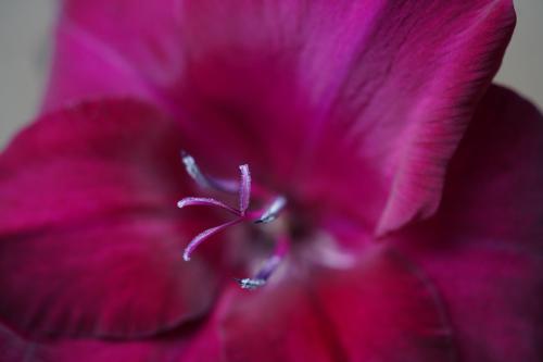 2021 08 09-DSC04300
