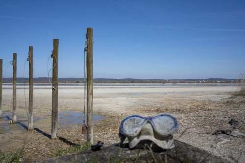 Triboltingen Niedrigwasser 2025