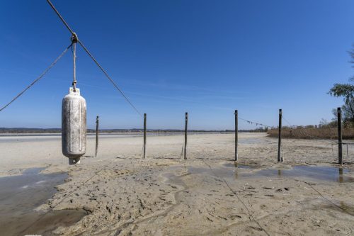 Triboltingen Niedrigwasser 2025