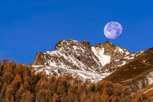 2025 11 07-A7V05502-4