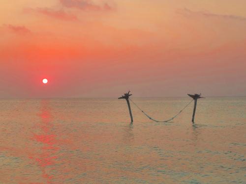 2025 03 10-20250310 190734